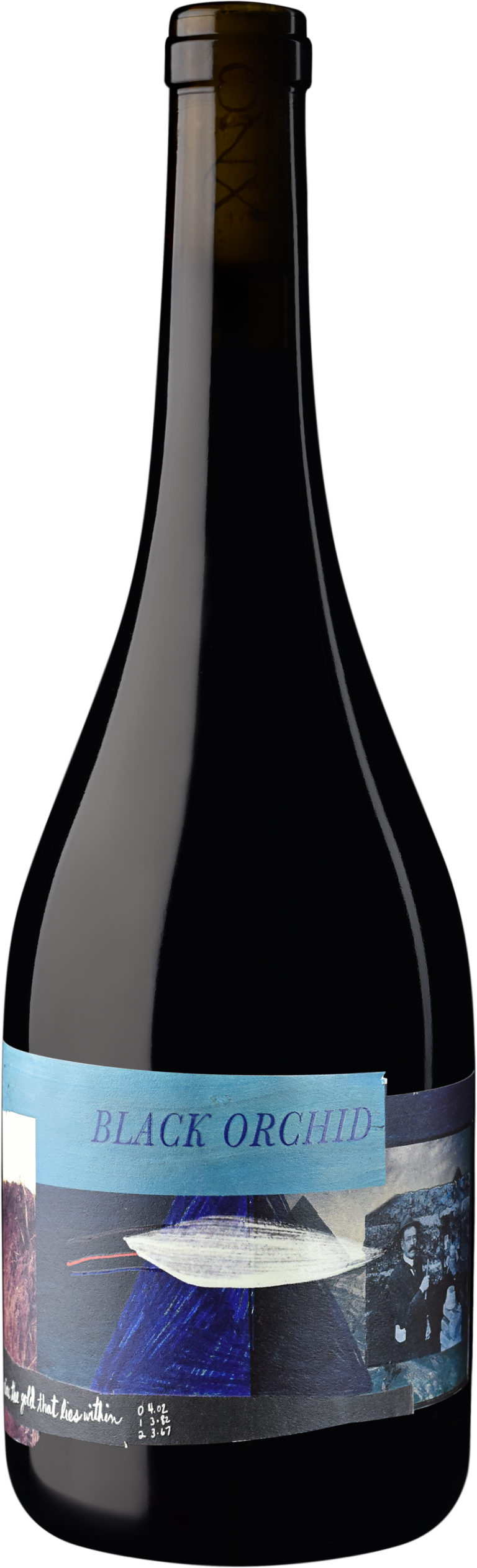 Black Orchid