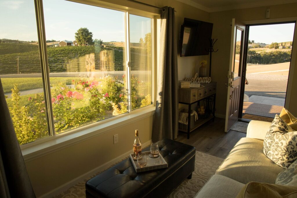Vineyard view from the Kiler Studio Apartment