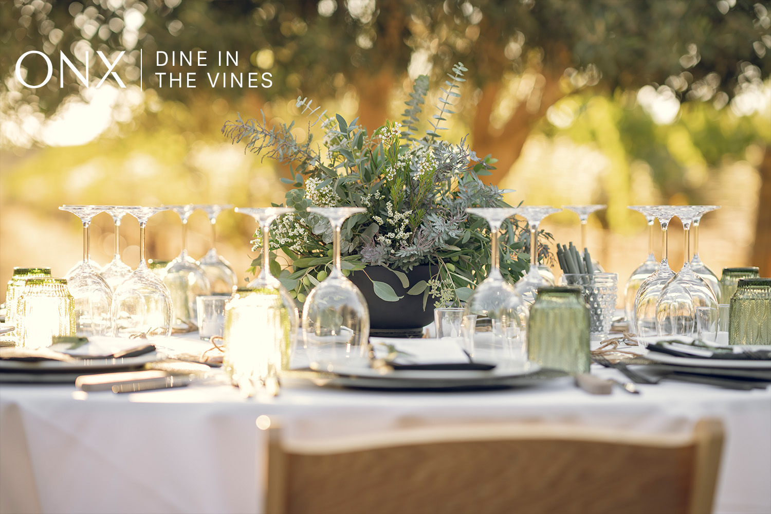 Dine in the Vines – Winemaker Dinner
