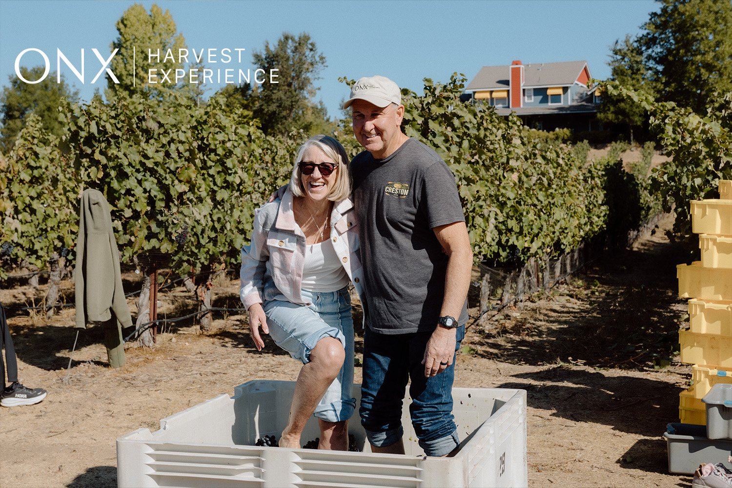 Harvest Experience