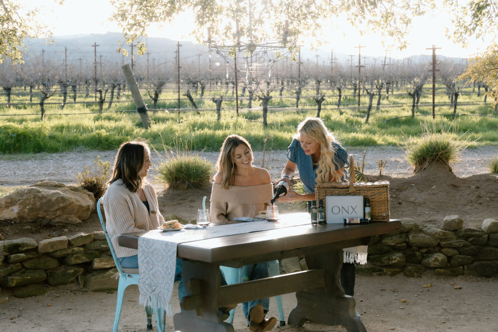 ONX Estate vineyard tour and tasting