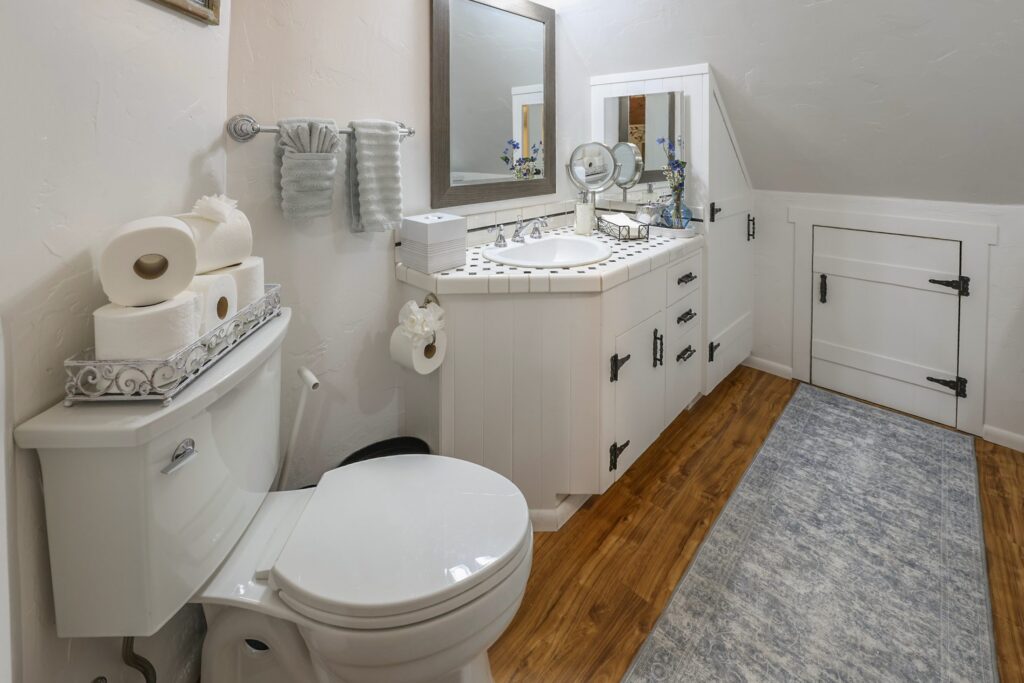 Briarwood Apartment bathroom