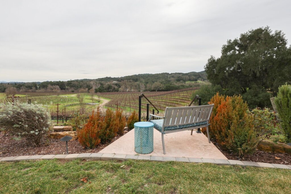 Garden bench at the vineyard edge