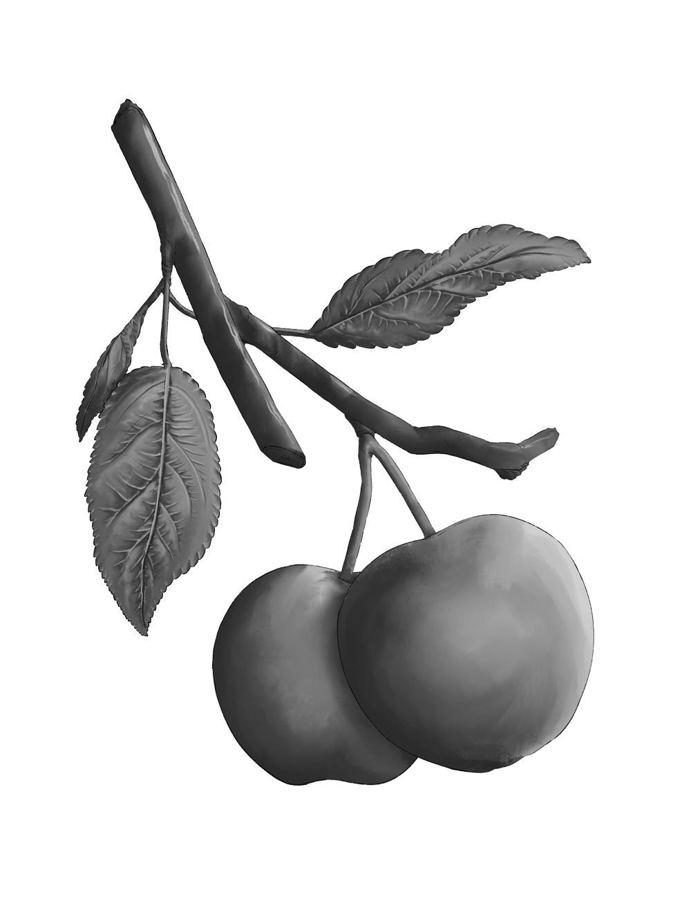 onx-botanical-grey-apple