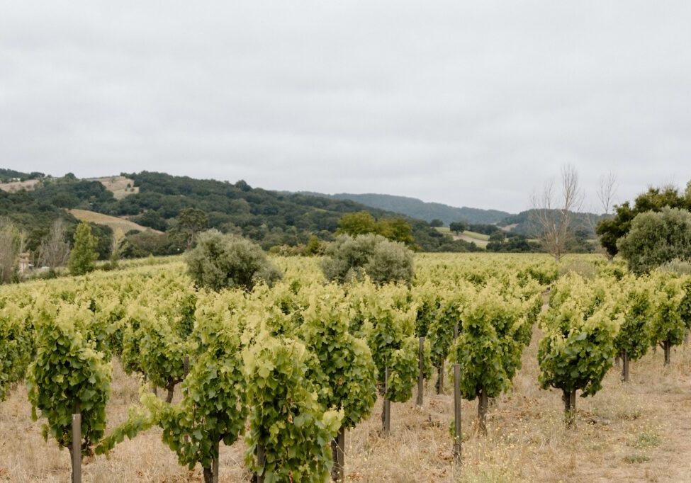 Templeton Gap
