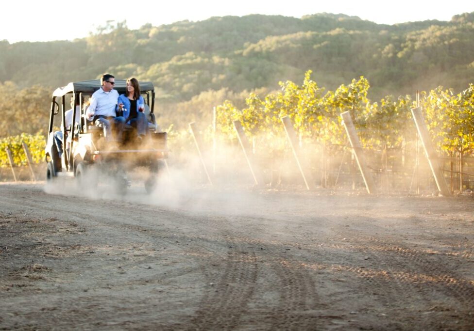 Guests on the ONX estate vineyard tour